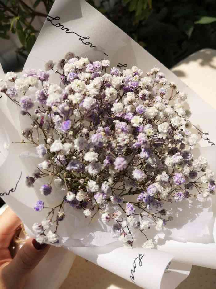 瑞吉斯salon(群光店)-"【项目】剪发 染发太感动了正好要做头发.