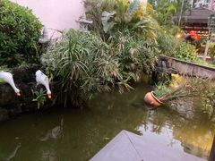 -海南大院(海甸岛店)