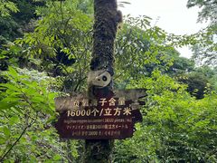 -西岭雪山大飞水景区