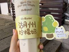 -猫的魔法密林(衣裳街店)