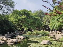 -神仙树公园