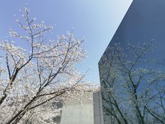 -龙美术馆(西岸馆)