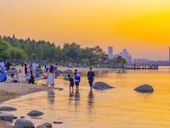 -瑶湖郊野森林公园