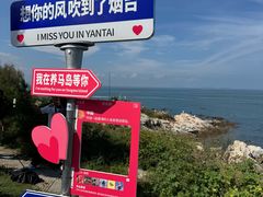 -养马岛旅游度假区