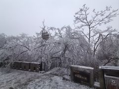 -紫金山山顶公园