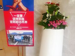 -团圆口腔·种植中心(锦江院区)