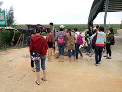 -北海金海湾红树林生态旅游区