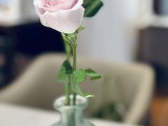 -伊斯坦布尔土耳其清真咖啡餐厅