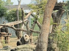 -武汉动物园