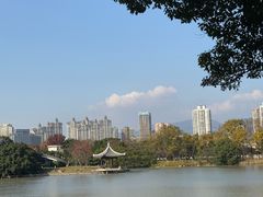 -江心屿景区