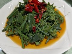 -上庄晋风庄园(上庄店)