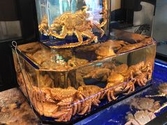 -蟹道乐(道顿堀本店)