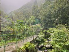 -藏龙百瀑风景区