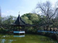 -上海醉白池公园