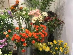 -植物学家的女儿(北马道巷店)