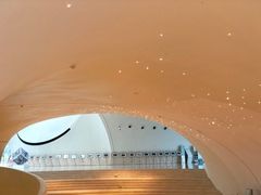 -哈尔滨大剧院