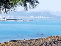 -小麦岛公园