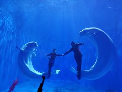 -多彩贵州城极地海洋世界
