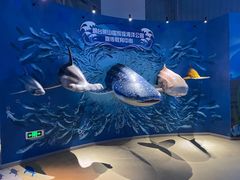 -烟台海昌鲸鲨海洋公园