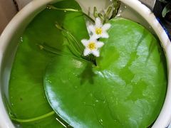 -邵汇大虾(吉林大路店)