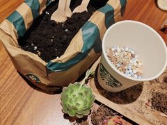 -星巴克臻选(珠海富华里店)