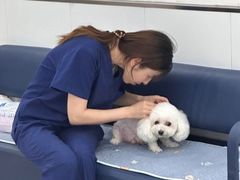 -派美特宠物医院·核磁CT·骨科肿瘤·疑难转诊(沈农禾丰店)
