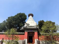 -妙应寺白塔