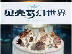 -贝壳梦幻世界