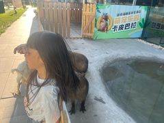 -廊坊固安福朋喜来登酒店