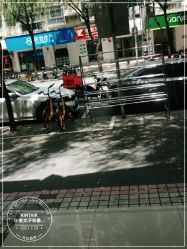-金太子形象设计