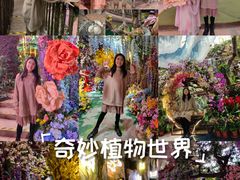 -正佳雨林生态植物园