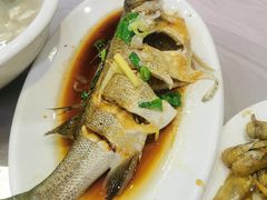 清蒸鲈鱼-大丰收海鲜酒楼·专业餐饮30年(连云港老字号店)