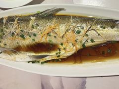 清蒸鲈鱼-9家湘菜(上南路店)