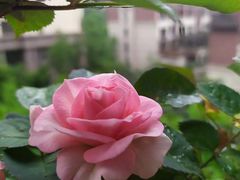 -万达广场(巴南店)