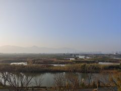-三垟湿地