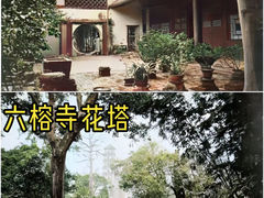 -华林禅寺