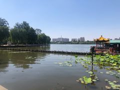 -济南大明湖景区