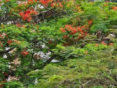 -缘生态云南菜·野生菌庭院餐厅(华侨城店)