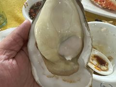 -蚝专家(北滘店)