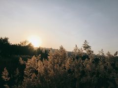 -乌素图国家森林公园