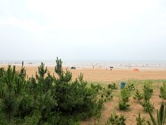 -日照海滨国家森林公园
