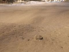 -亚布力新体委滑雪场