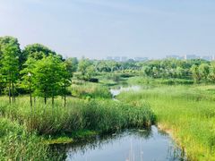 -尚贤河湿地