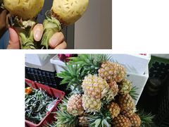 -林旺社区水果市场