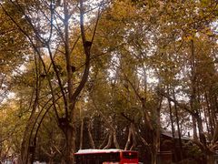 -也枫·小黄楼(南山路旗舰店)