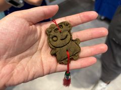 -斯坦星球AI编程·机器人科创·科学实验·信奥·思维·STEM·乐高·竞赛考级(长宁虹桥大融城荟聚中心)