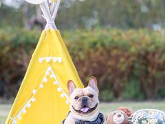 -春花秋色城市公园