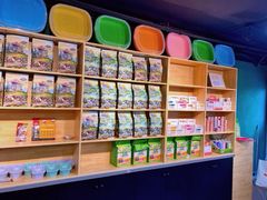 -猫十亿·布偶金渐层·曼基康矮脚猫舍(青年路店)