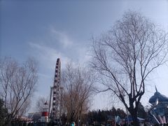 -北京石景山游乐园