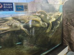 -福州罗源湾海洋世界旅游区